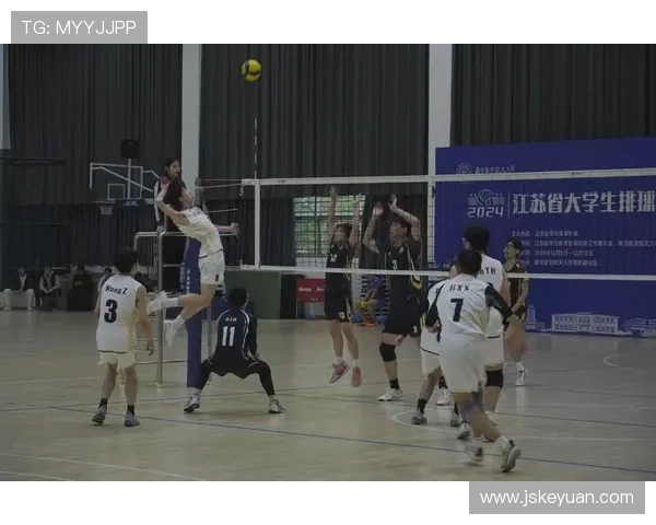 南京排球队在城市联赛中的团队协作表现分析与点评